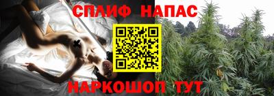 герыч Пугачёв