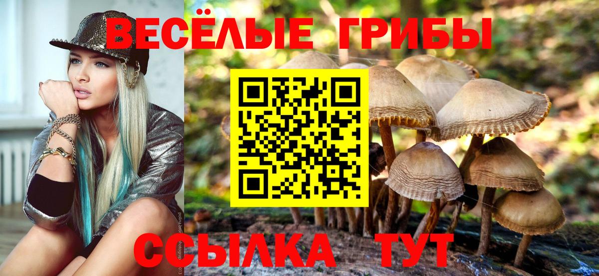 Заринск  Псилоцибиновые грибы Magic Shrooms  Вход с VPN 